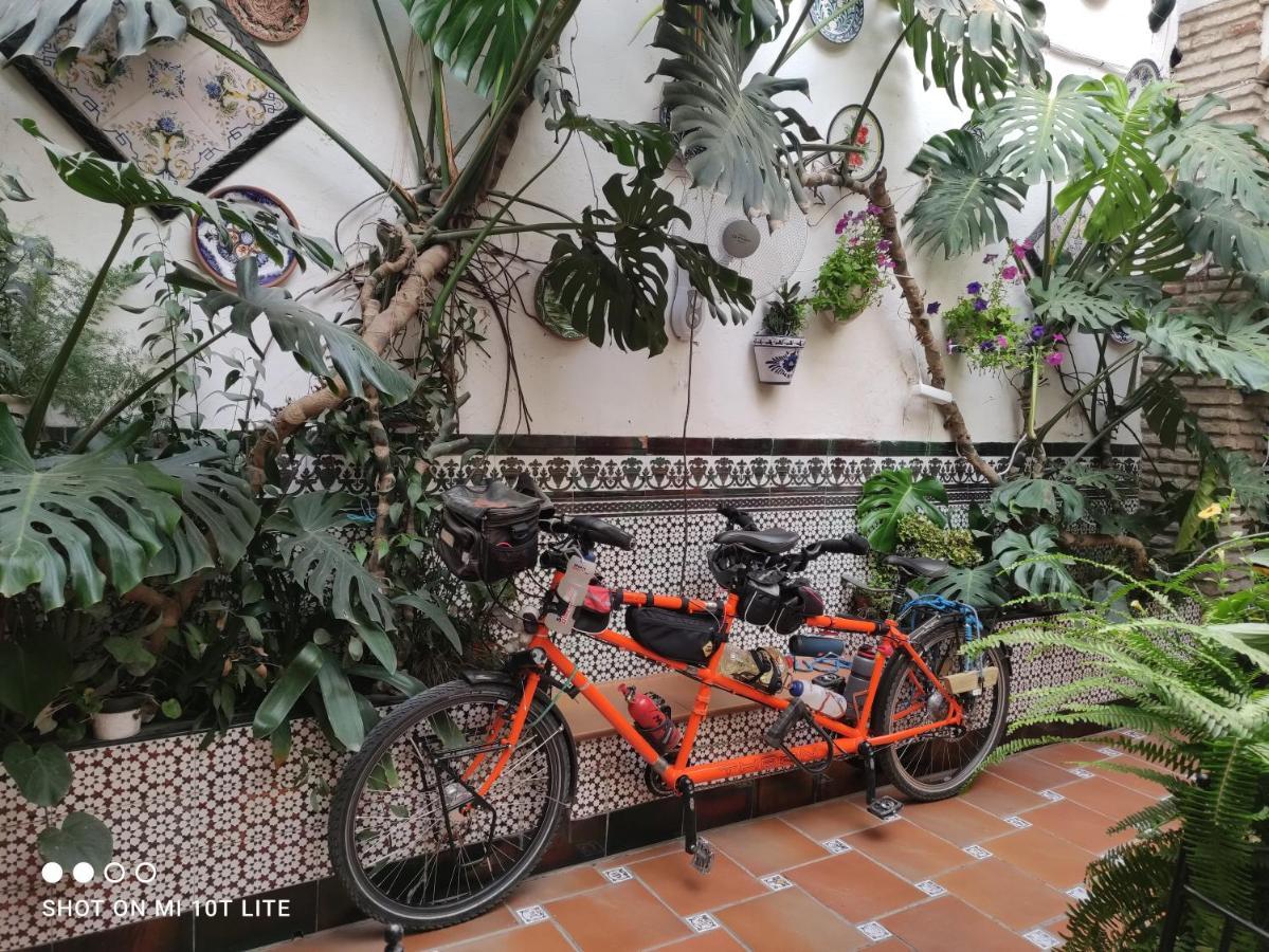 Pension Los Arcos Córdoba Eksteriør billede