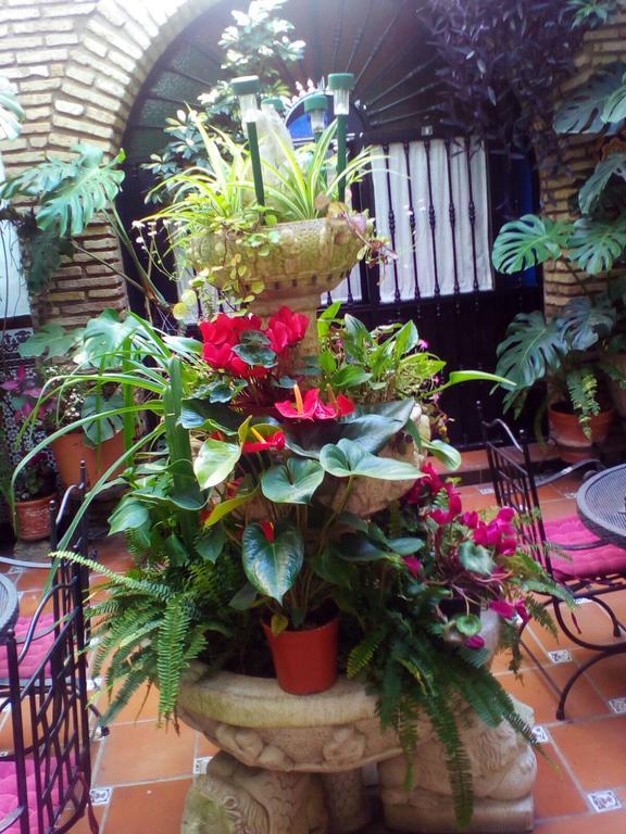 Pension Los Arcos Córdoba Eksteriør billede