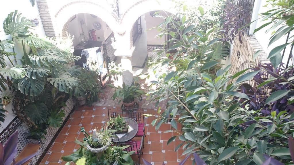 Pension Los Arcos Córdoba Eksteriør billede