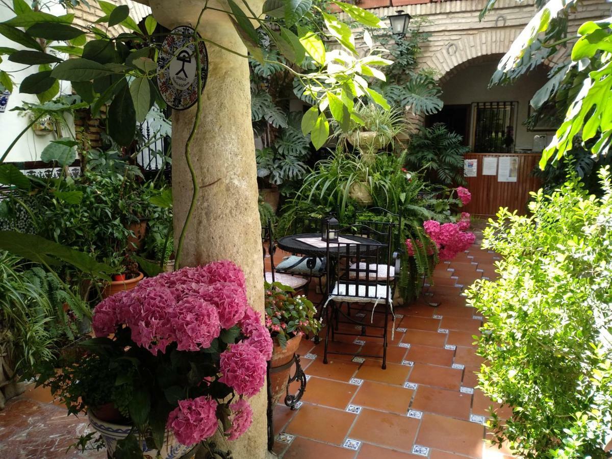 Pension Los Arcos Córdoba Eksteriør billede