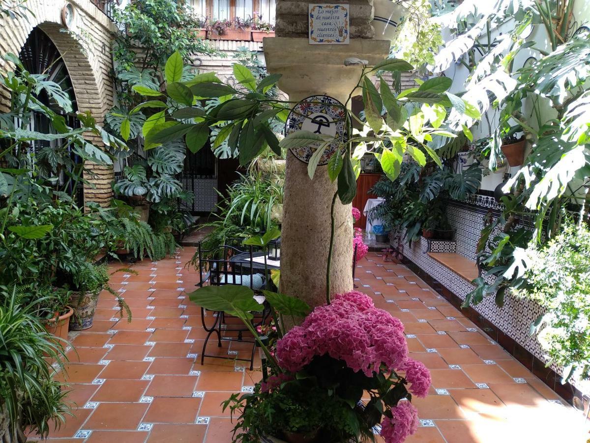Pension Los Arcos Córdoba Eksteriør billede