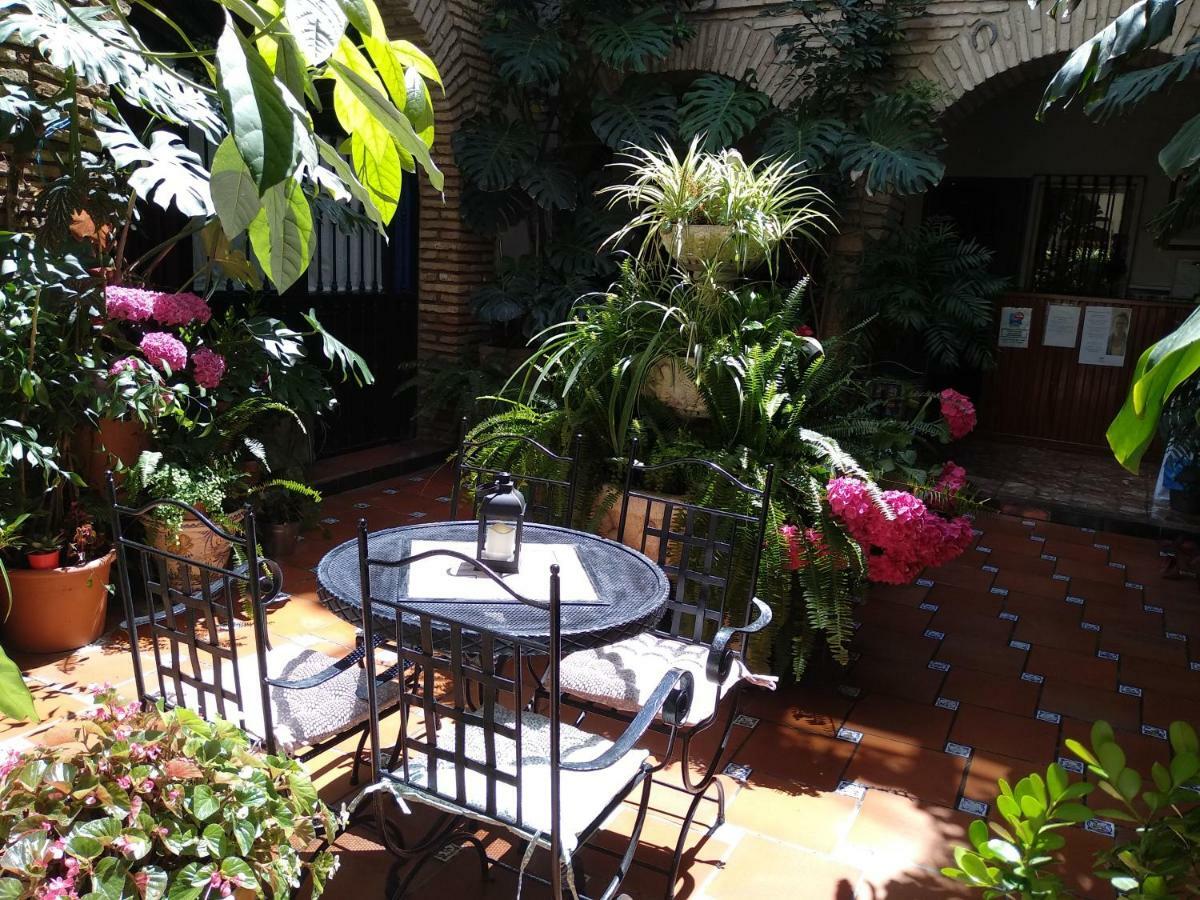 Pension Los Arcos Córdoba Eksteriør billede