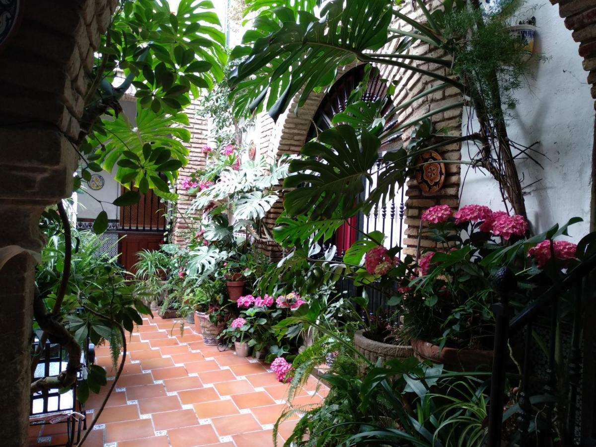 Pension Los Arcos Córdoba Eksteriør billede