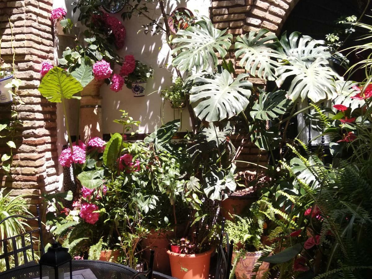 Pension Los Arcos Córdoba Eksteriør billede